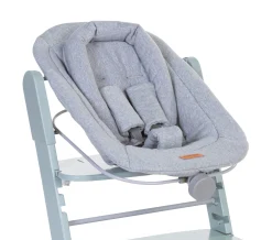 Childhome Evosit-Newborn Evosit - Jersey Gris